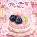 【Punimelo】マカロン スクイーズ 全3種｜もちもちやわらか触感・シリコーン製・ハンドメイド